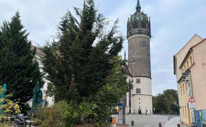 Schlossplatz 1 - kopie